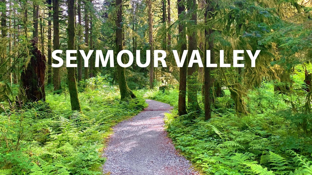 Dreamy Forest Walk in the Seymour Valley, North Vancouver BC Canada
