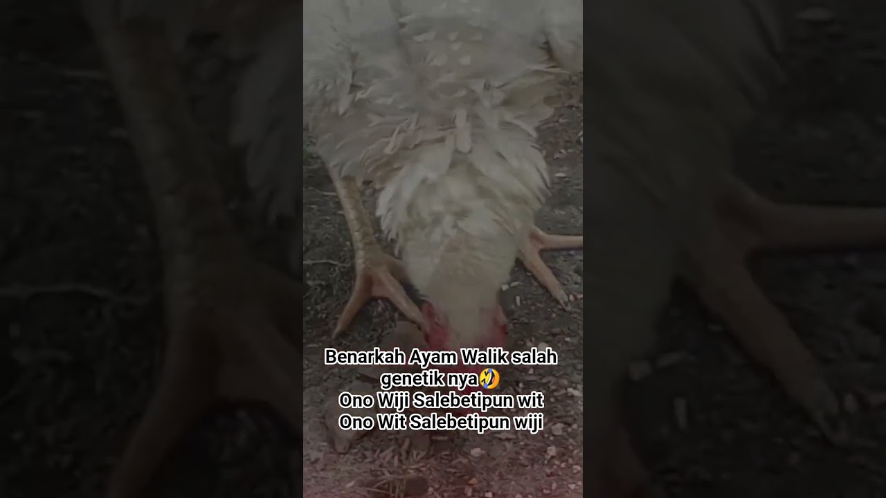 #viral