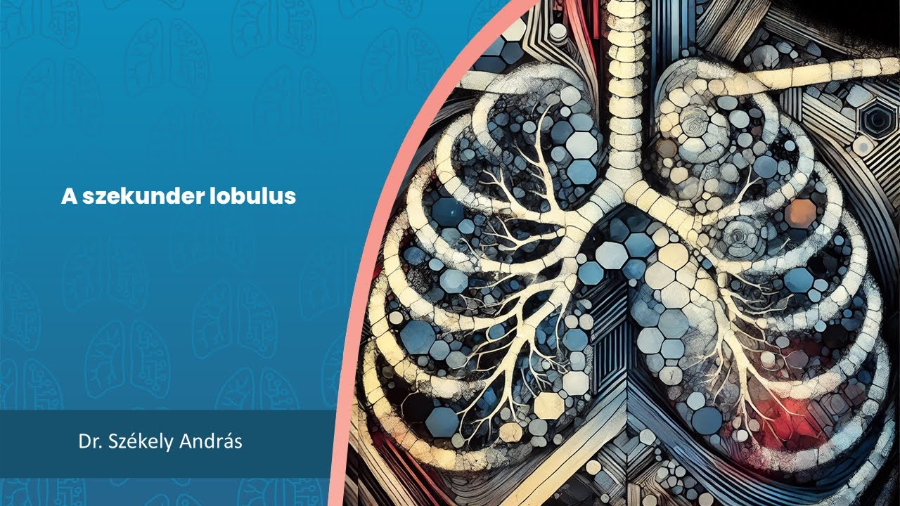 HRCT anatómia | A szekunder pulmonális lobulus