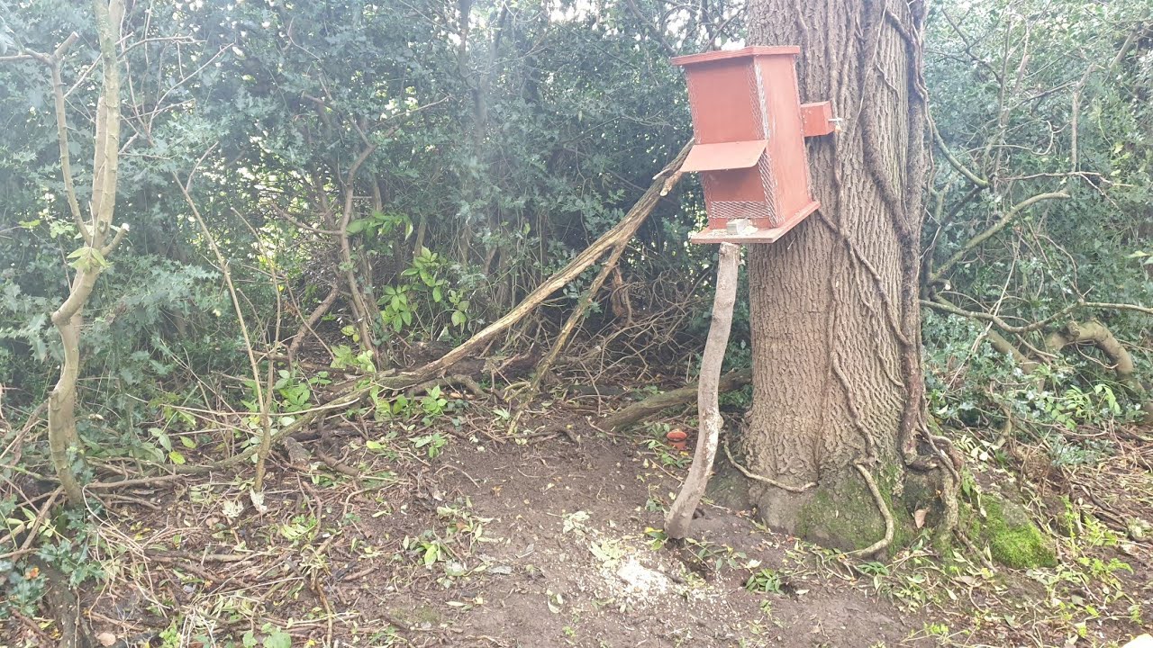 Squirrel Feeder Preparation For The Winter Months