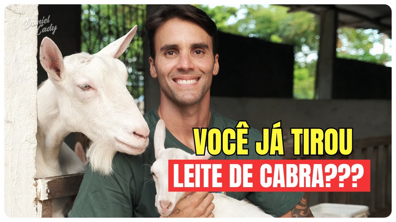 POR DENTRO DO CAPRIL: UM DIA EM FAMÍLIA ENTRE CABRAS, QUEIJOS E NATUREZA