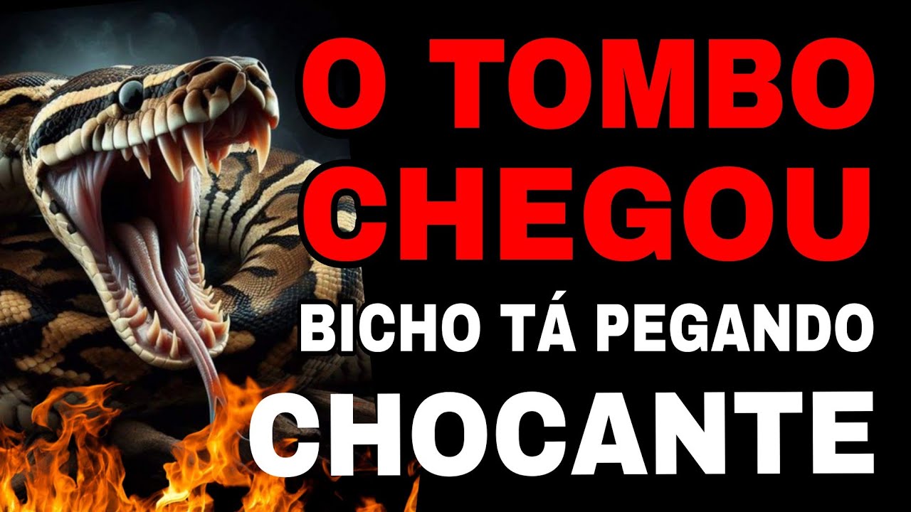 🚩TAROT INTERATIVO: Como está a VIDA dele com a RIVAL atualmente - TUDO sobre ELE  e a RIVAL  HOJE 🤮