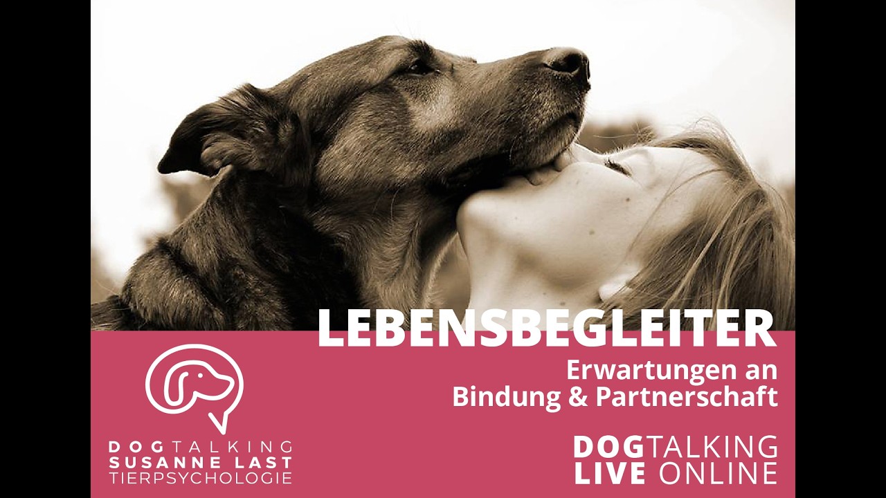 Lebensbegleiter Erwartungen an Bindung & Partnerschaft