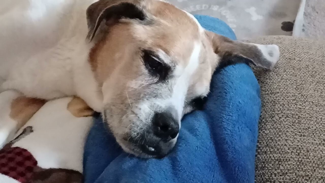 Kylie's Passing--1