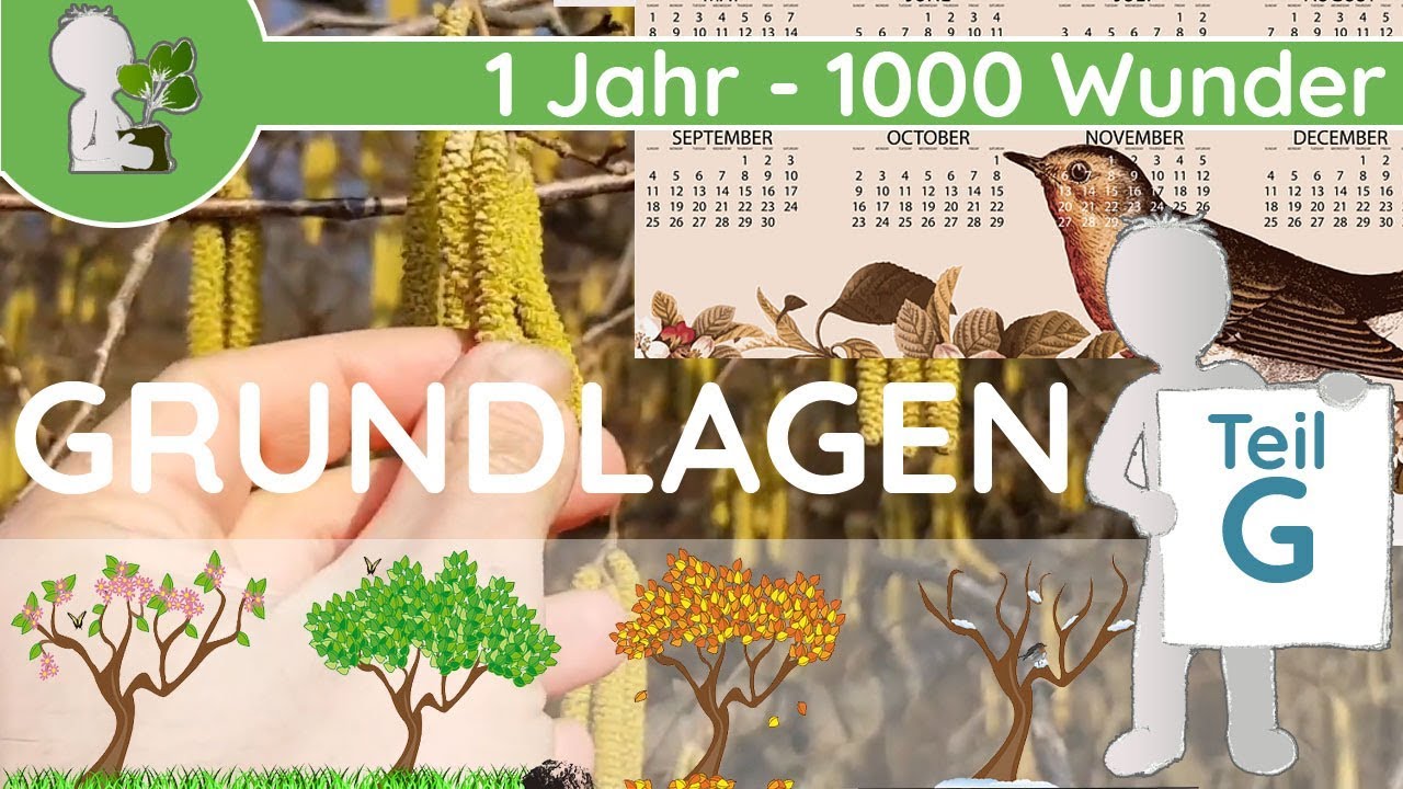 📚 1 Jahr - 1000 Wunder - Grundlagen Teil G (Phänologie & Phänologischer Kalender) - Botanik-Wissen