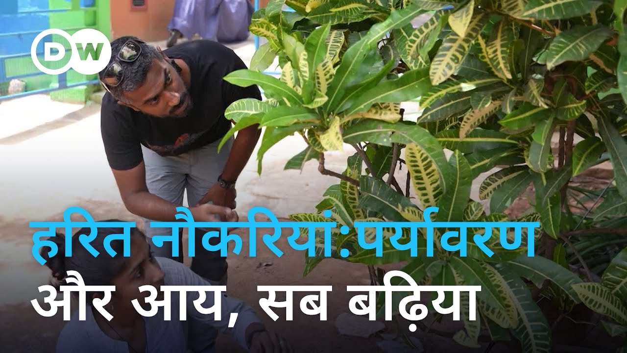 क्या आपकी नौकरी पर्यावरण को बचा रही है?[Are green jobs a good career option for young Indians?]