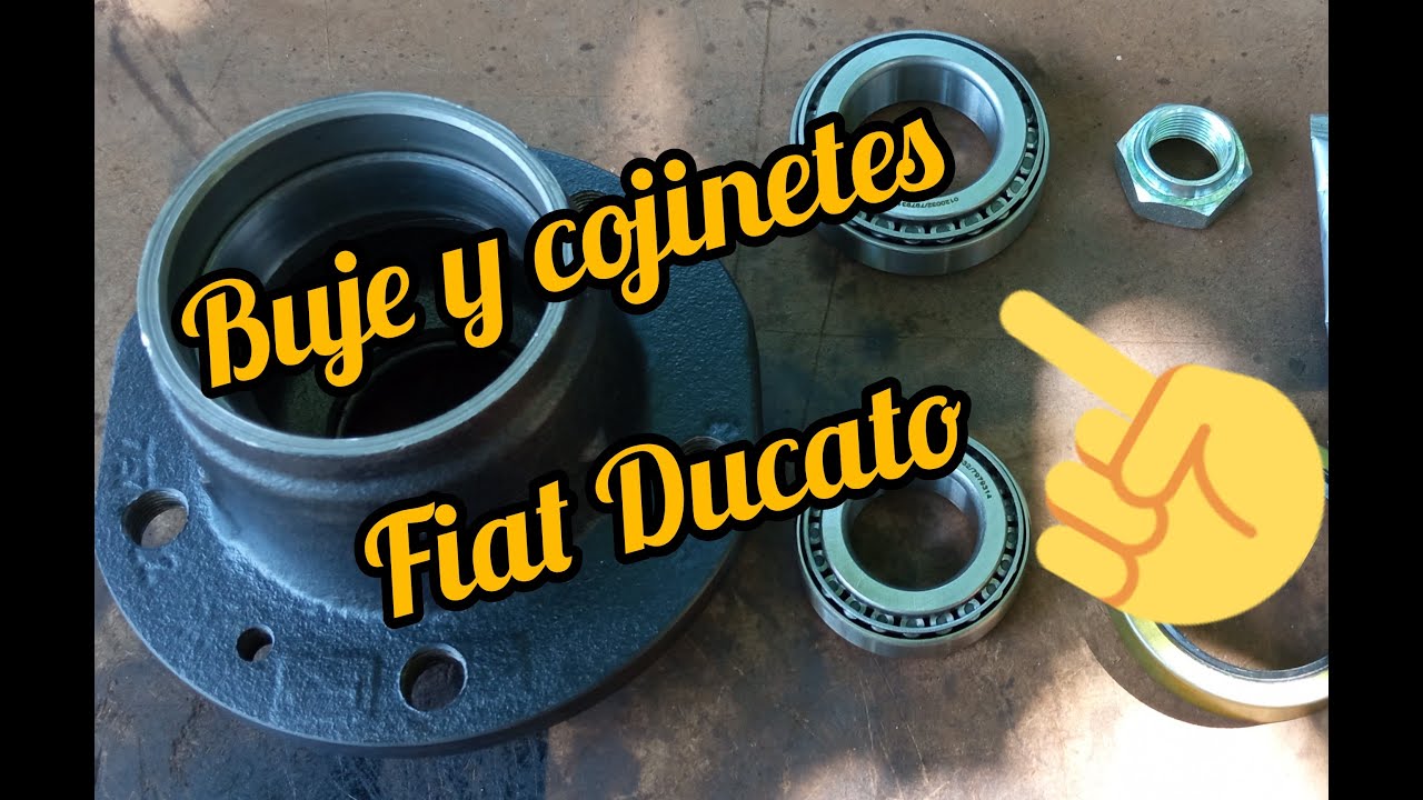 Buje y cojinetes traseros Fiat Ducato