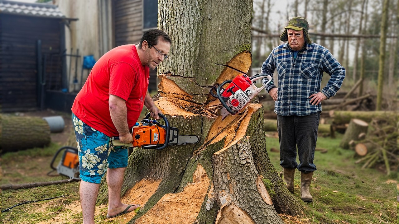 Idiots With Chainsaws: Tree Cutting Fails | Extreme Dangerous Logging Truck Fails #7