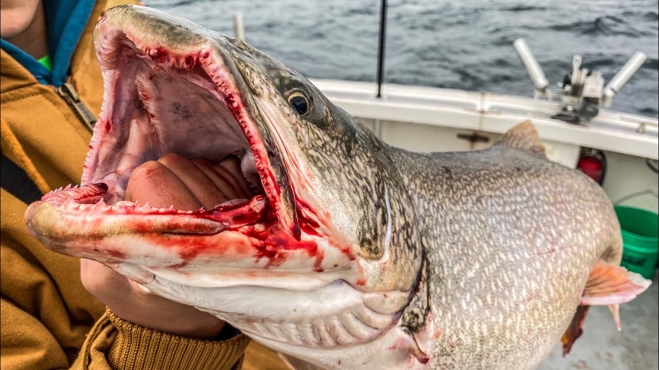 HUGE Lake Trout, Salmon and Steelhead Fishing in Lake Michigan!