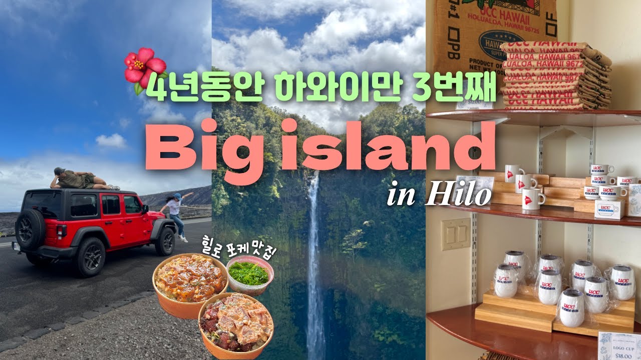 Ep.3 빅아일랜드 힐로 2박3일｜화산 국립공원 공짜로 입장 꿀팁｜100% 거북이 볼 수 있는 곳｜수이산 마켓 포케 리얼 후기｜아카카 폭포｜하와이 여행