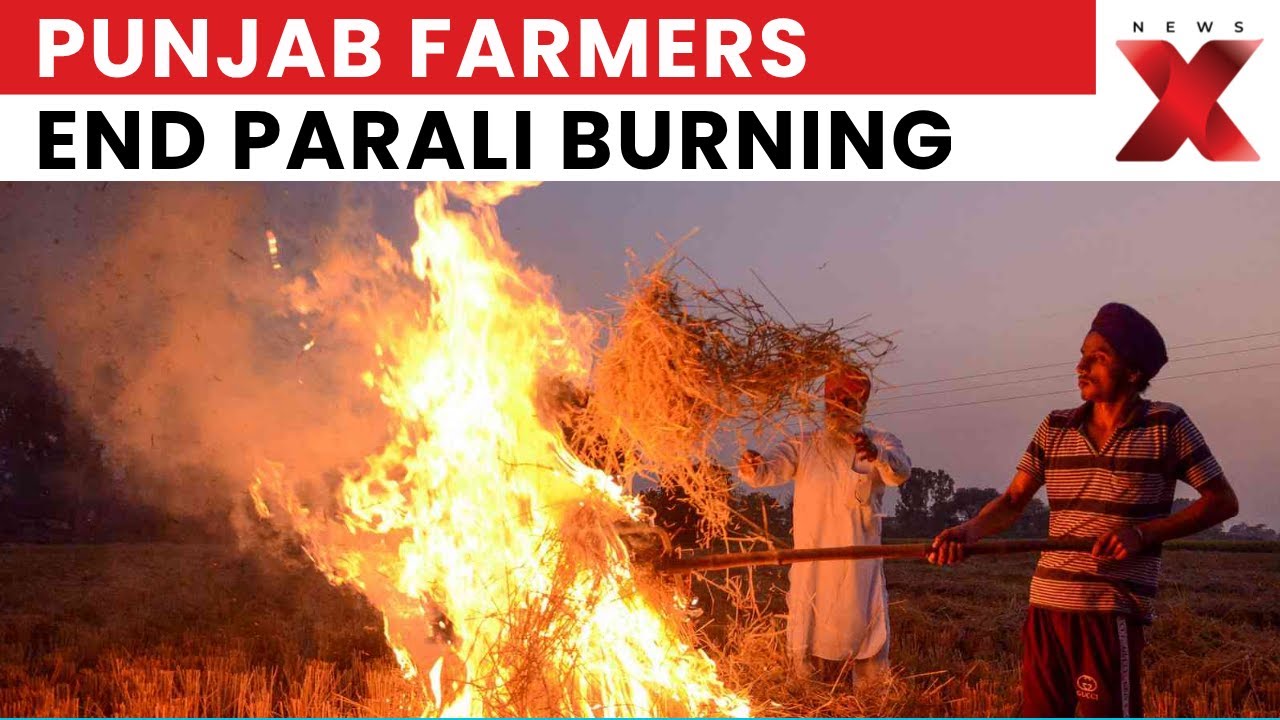 NewsX Ground Report: Parali Burning Ends | Punjab Farmers Lead Change by Stopping Parali Burning