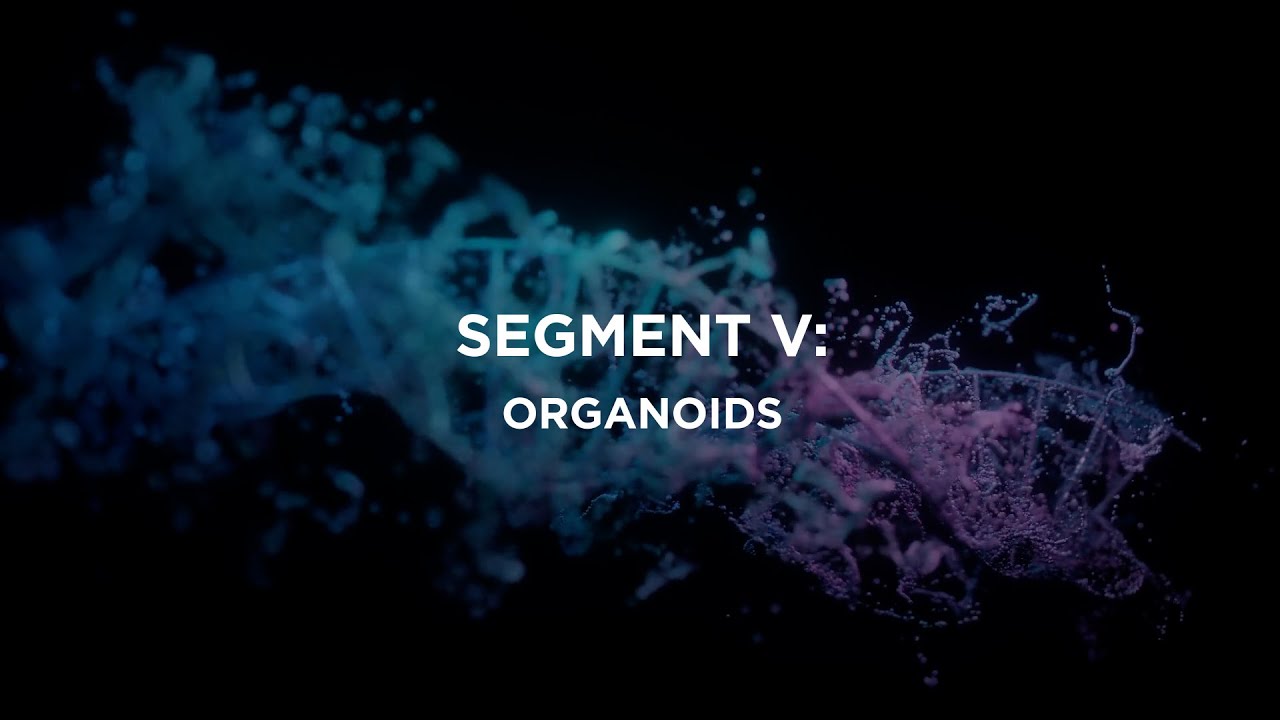 Technologies Transforming Precision Medicine - Segment V – Organoids