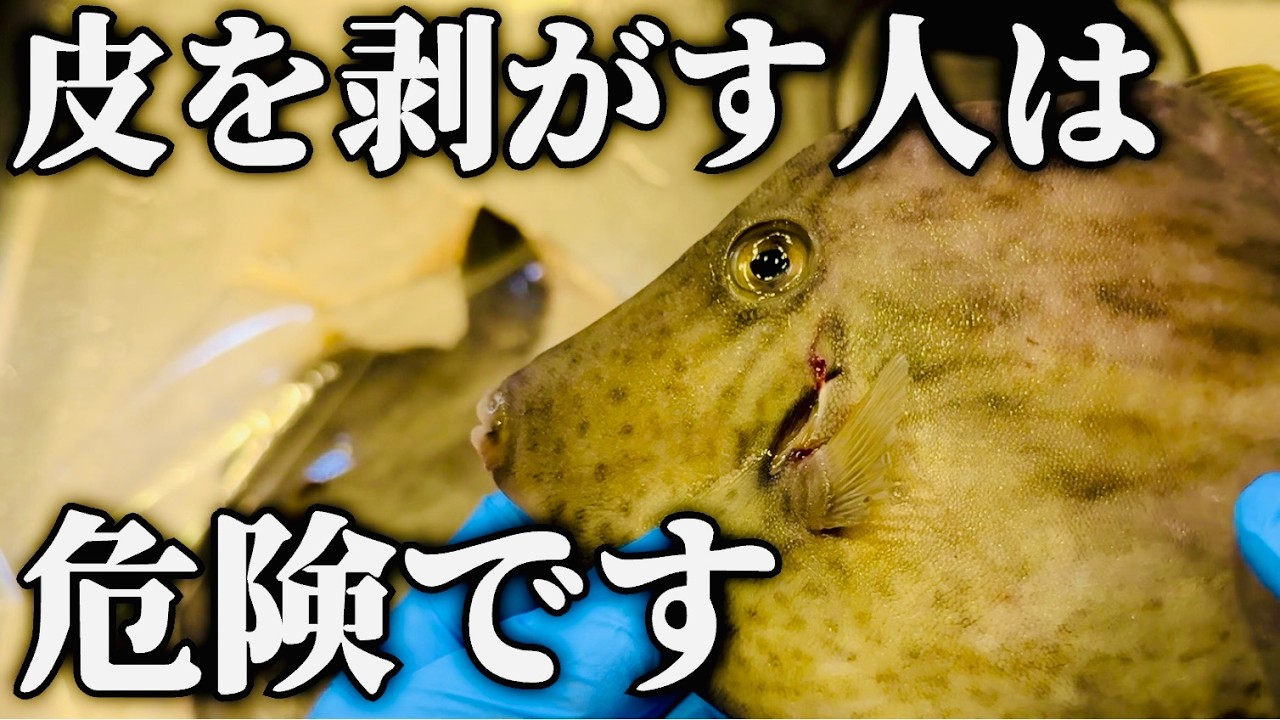 魚を捌く前に必ず見て下さい。