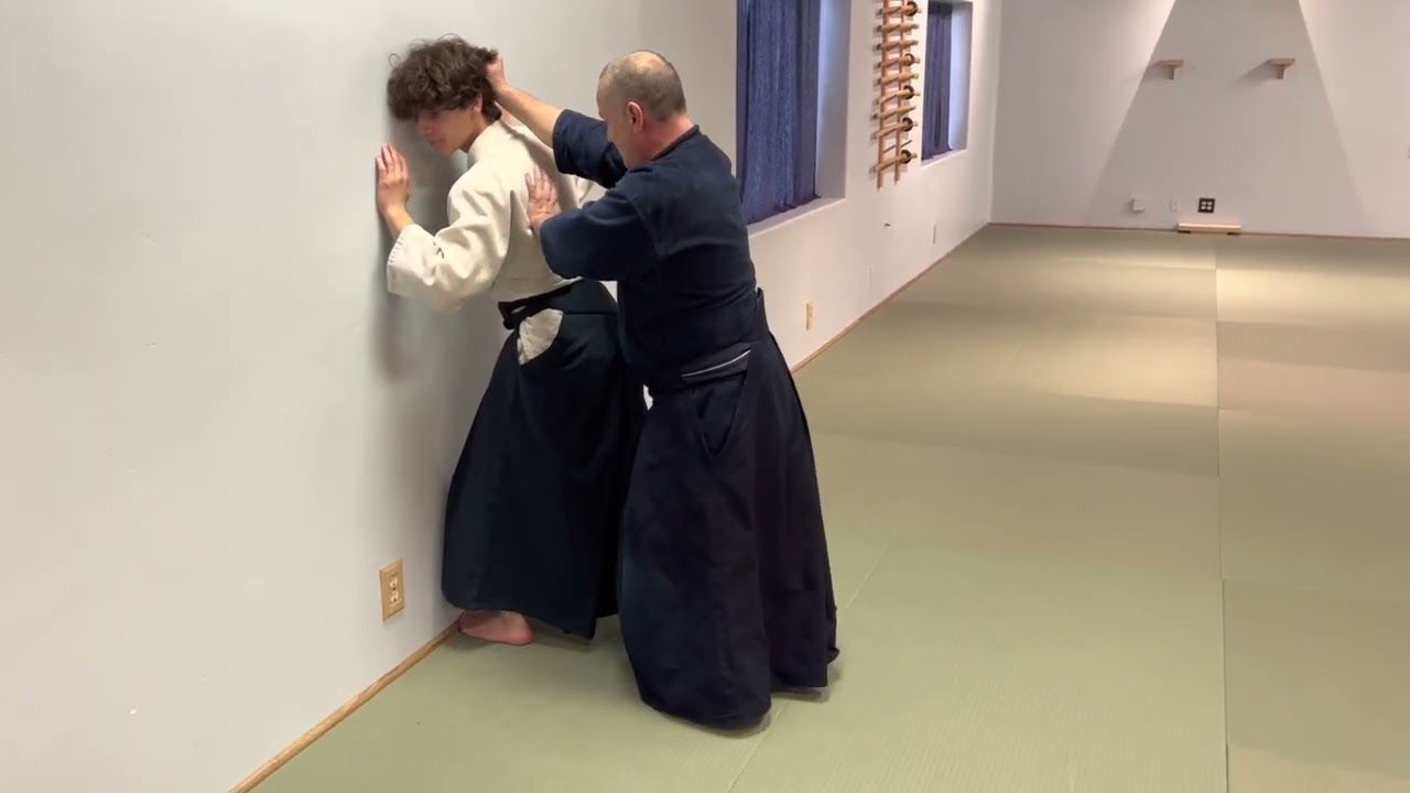 Aikido: Self-Defense Environments for Training Development