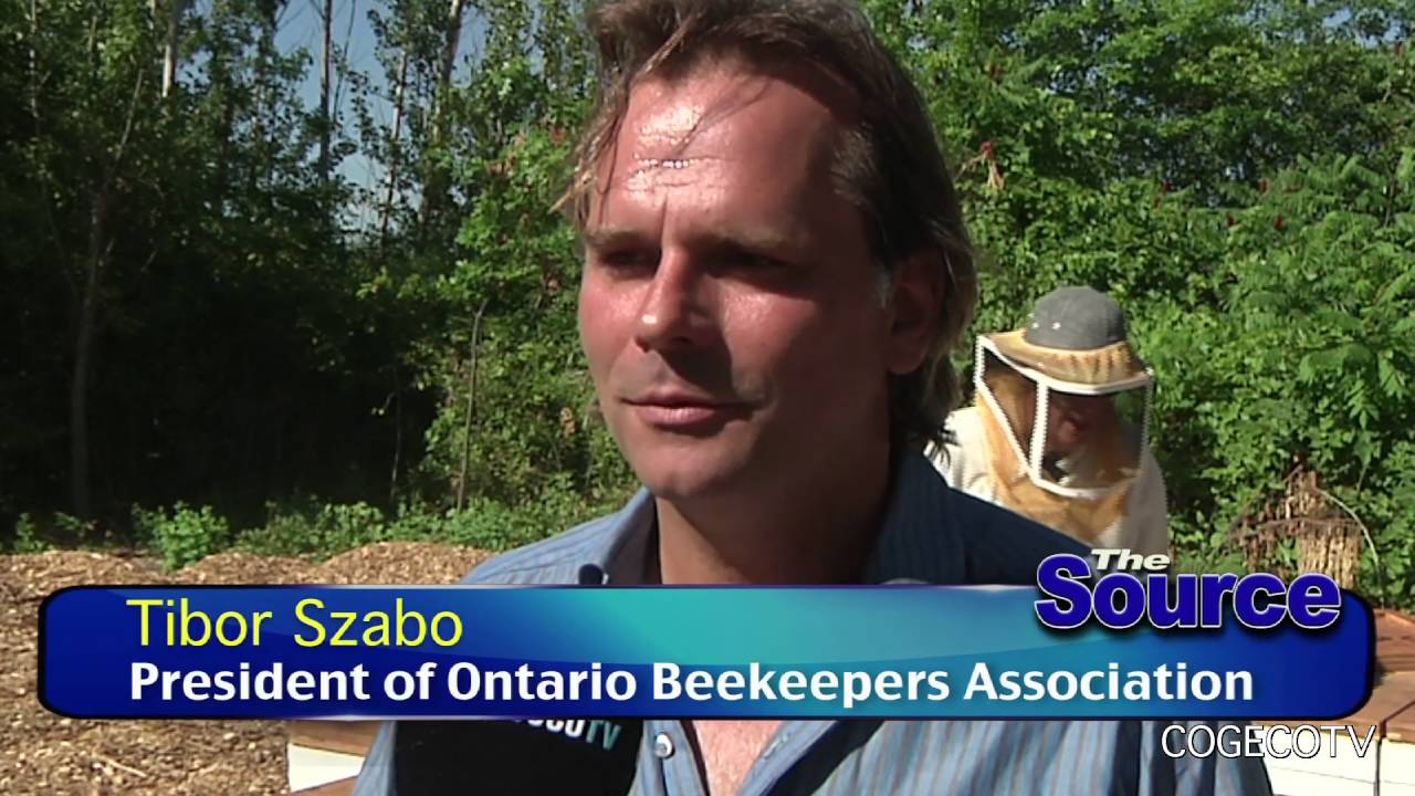 NC Beekeeping