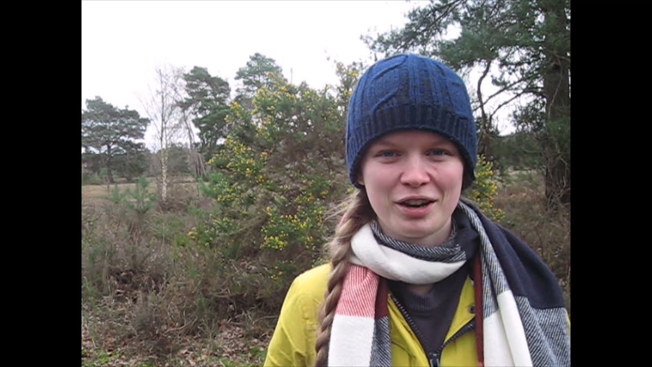 A public guide to ground nesting birds