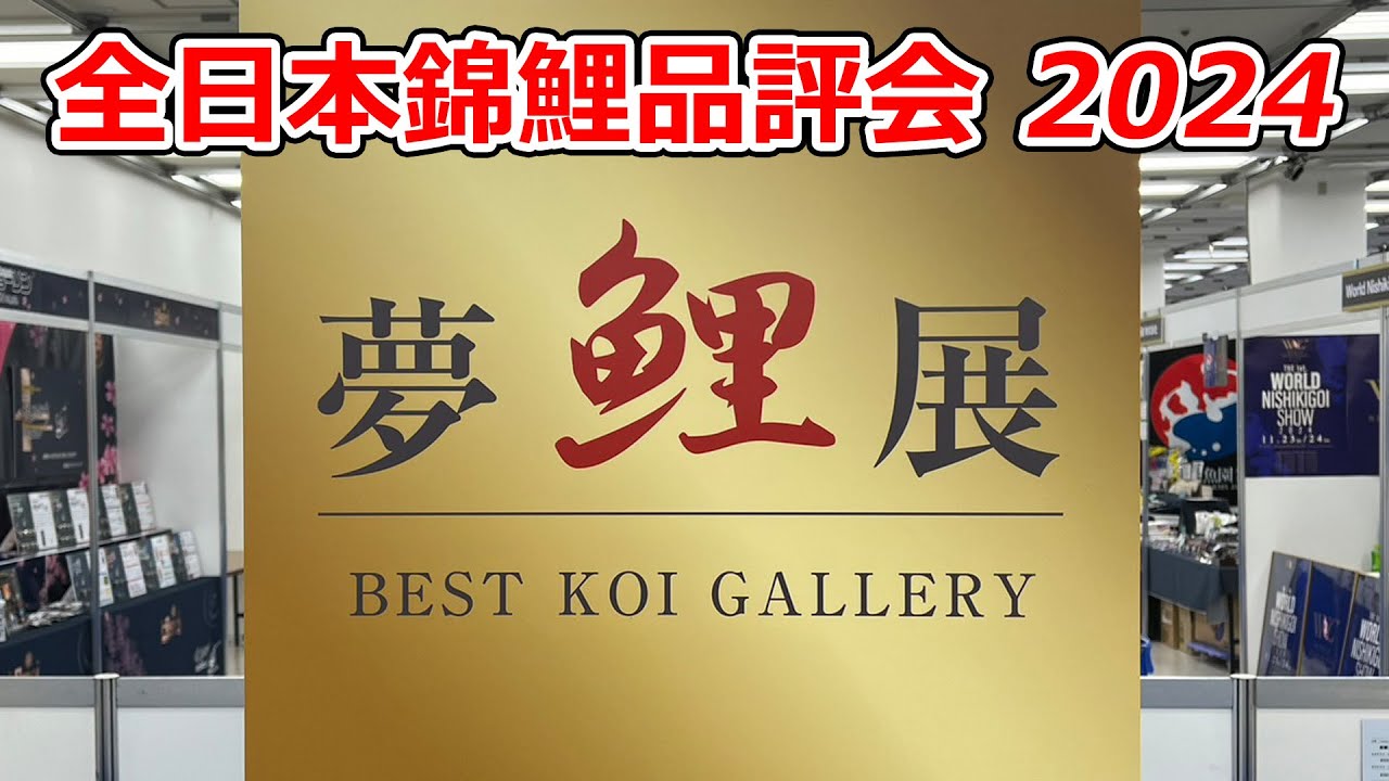 【夢展】第54回全日本総合錦鯉品評会2024