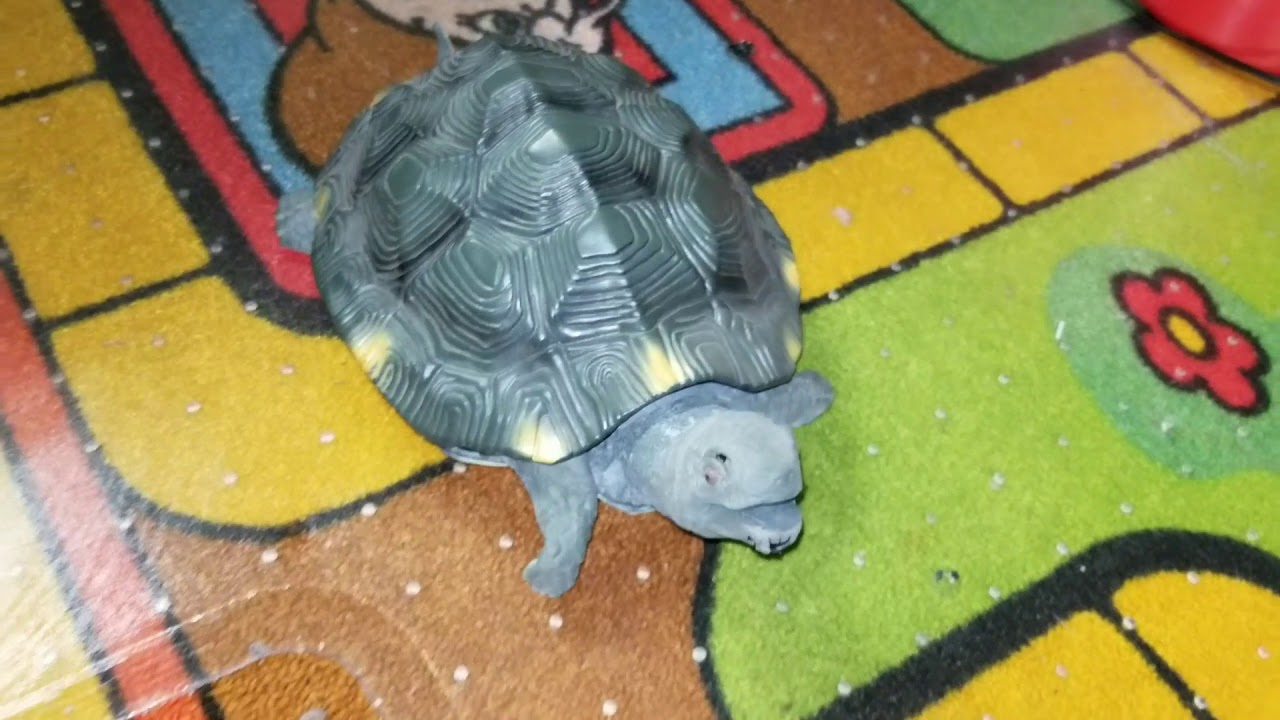 Slog-The Crawling, Singing Tortoise Turtle