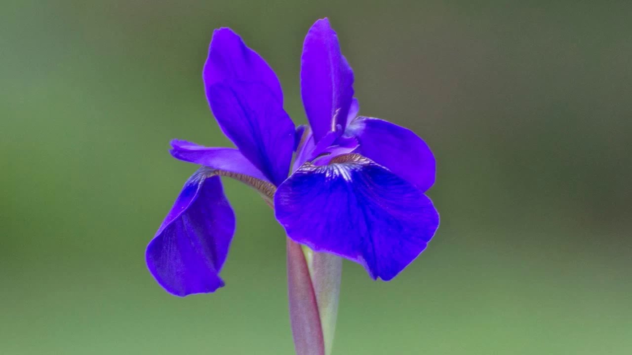 les couleurs : la synth&egrave;se soustractive