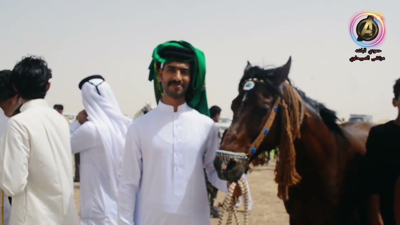 مهرجان الخيول العربيه ربطه فرسان ميسان الشماليه بتعاون مع مديريه الشباب ورياضه في ميسان وباقي المحاف