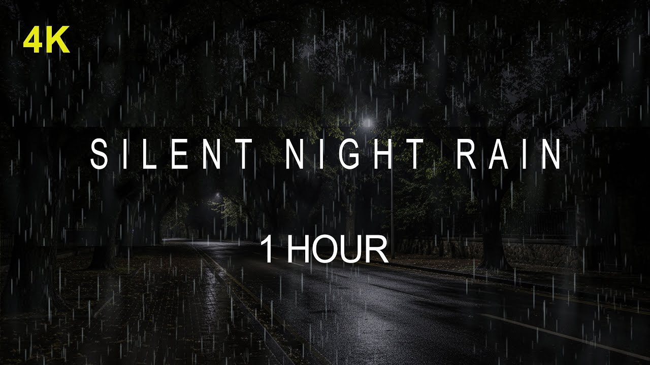 Pure Rain Ambience | Simple Sound to Reduce Tension | 1 Hour
