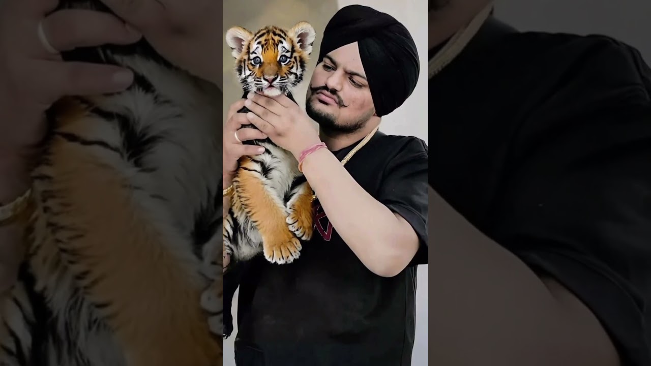 @punjabilegend0008.