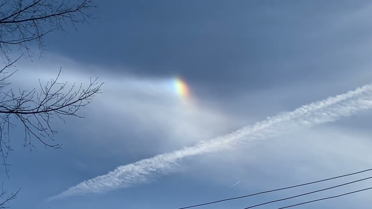 The Astro Sherpa-In The Garden-Sun Dog