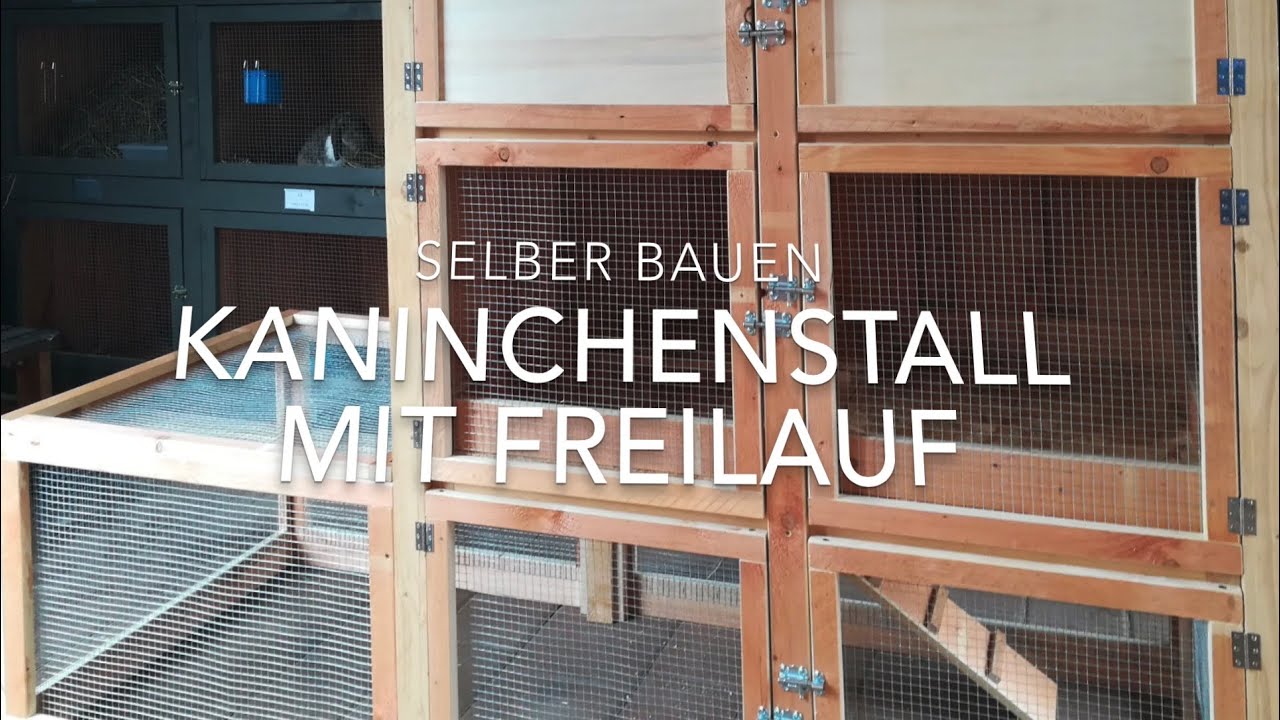 Kaninchenstall mit Freilauf selber bauen