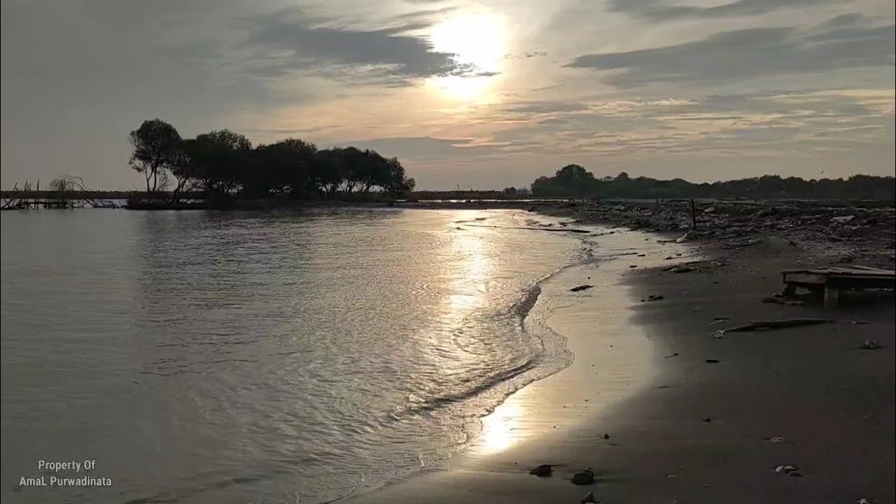 Ocean Waves ASMR 🌊 Relaxing Sea Sounds for Deep Sleep & Stress Relief