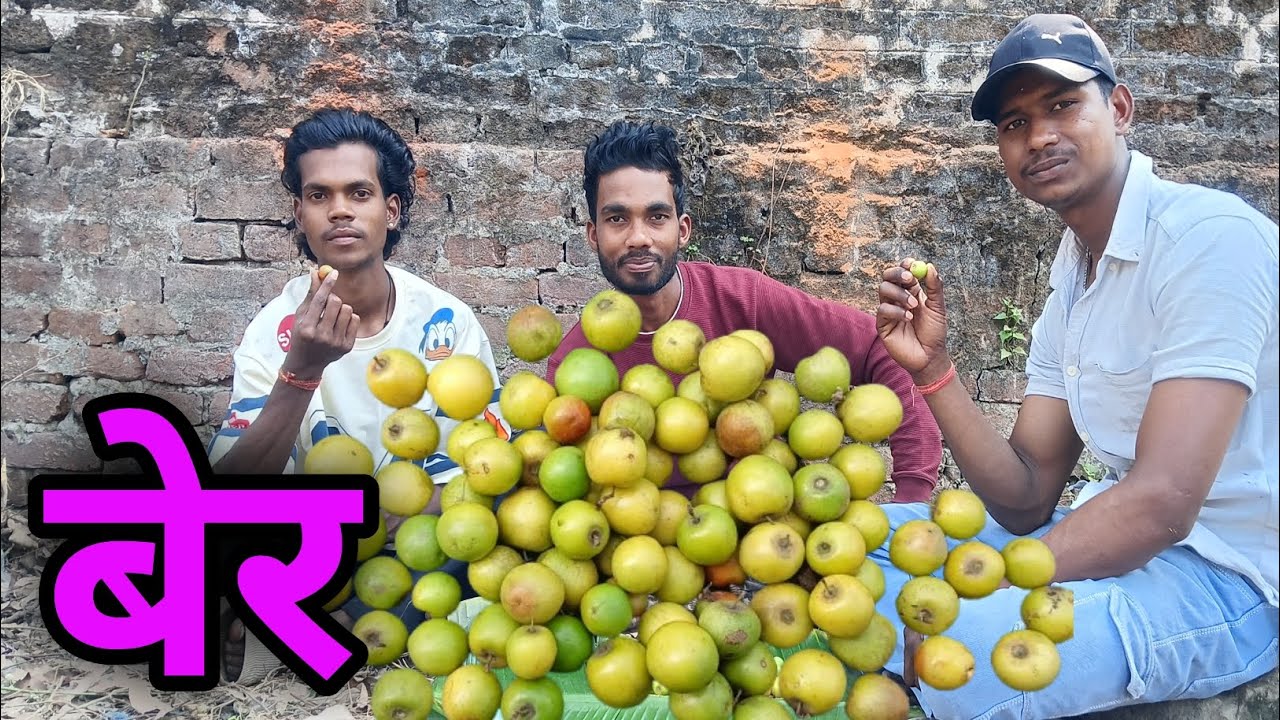 बेर 🍒 || Indian Plum ||😟😯 घने जंगल में गए बेर तोड़ने || Subham Turi Vlogs 😊
