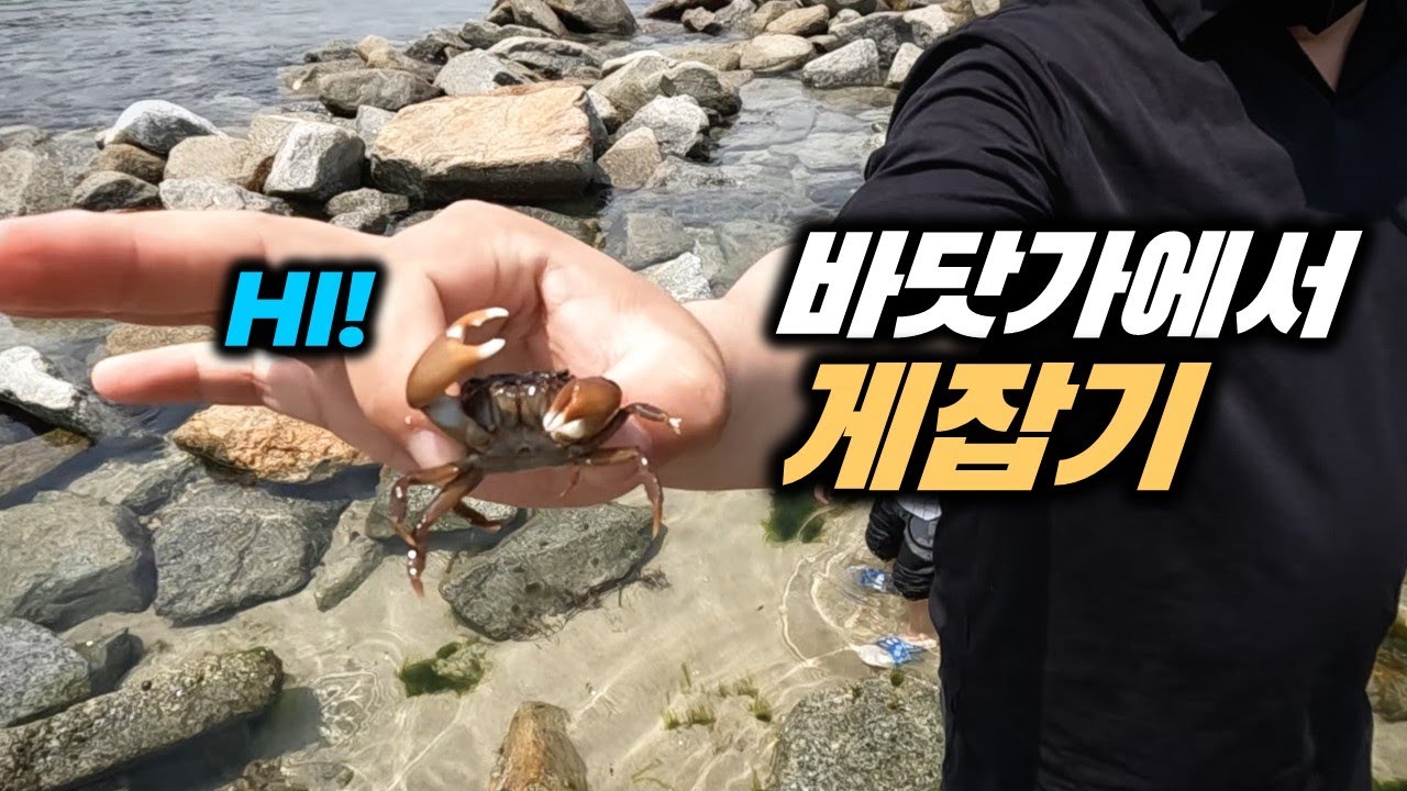 브이로그_6월의 강릉 바다
