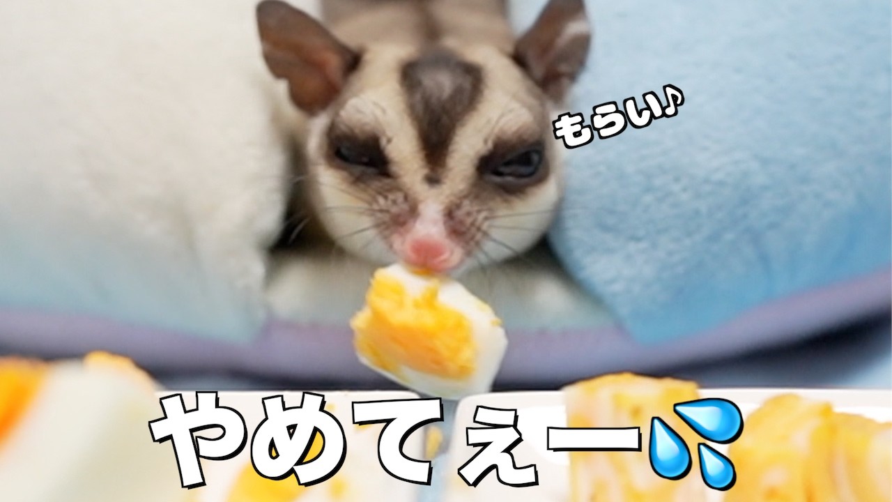 おやつの卵を食べたら赤ちゃんが汚れて大惨事に・・