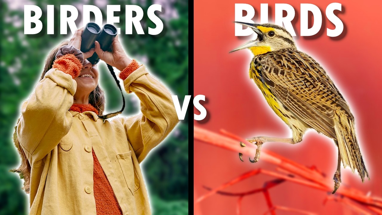 STRANGE MYSTERY: Birders Multiply While Birds VANISH!