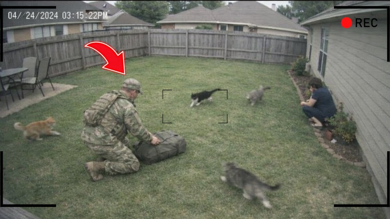 Soldier Dad's SURPRISING Cats with His Return Home After So Long!