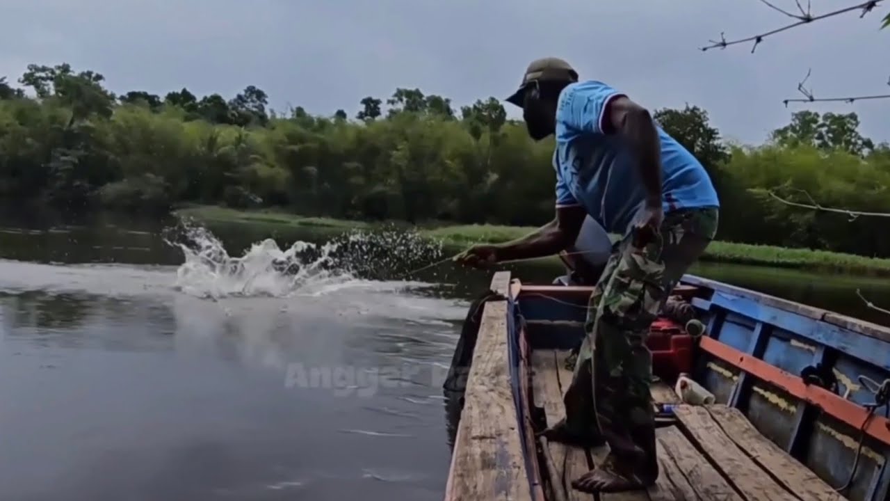 Amazing! Fishing got giant barramundi