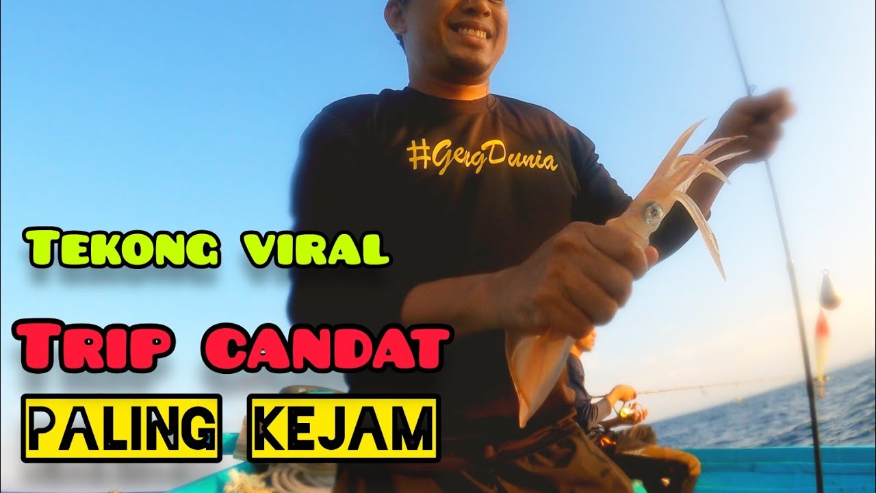 Trip Candat Sotong Paling Kejam #gengdunia