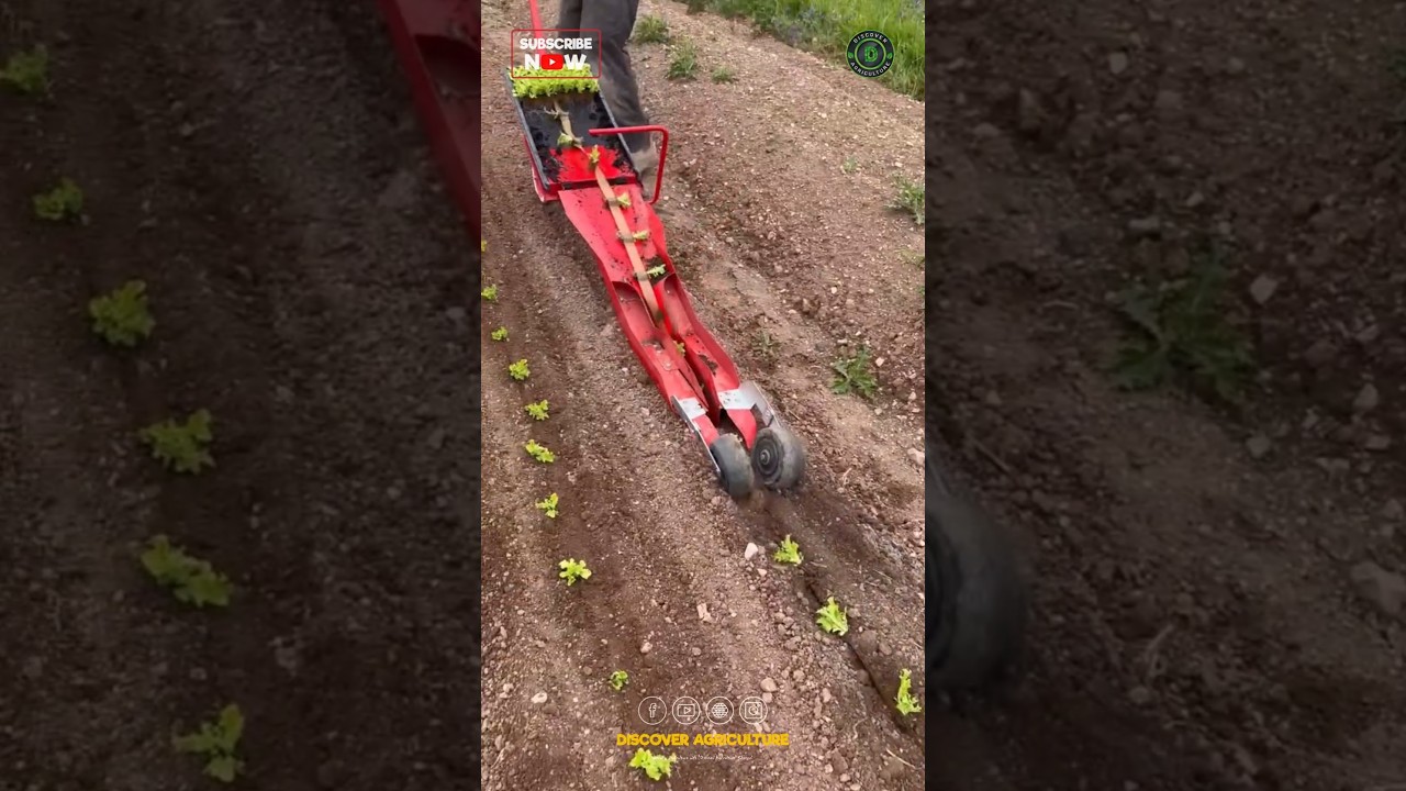 Vegetable Planting Machine