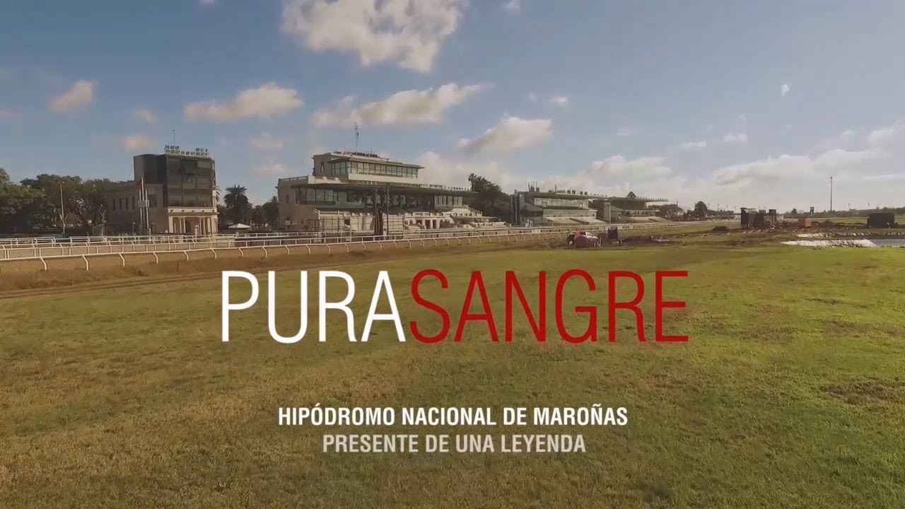 PURA SANGRE (2018) CAPITULO 4