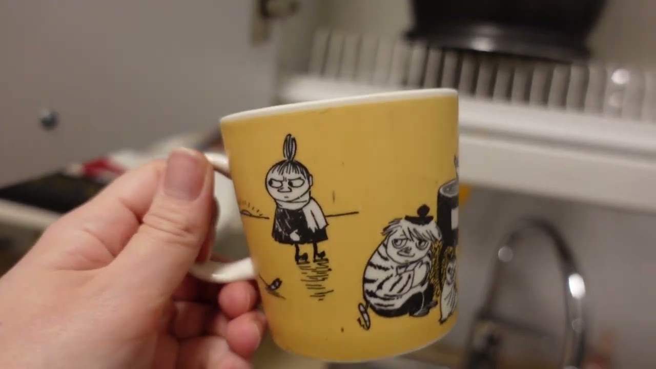 フィンランドで一人暮らしの部屋