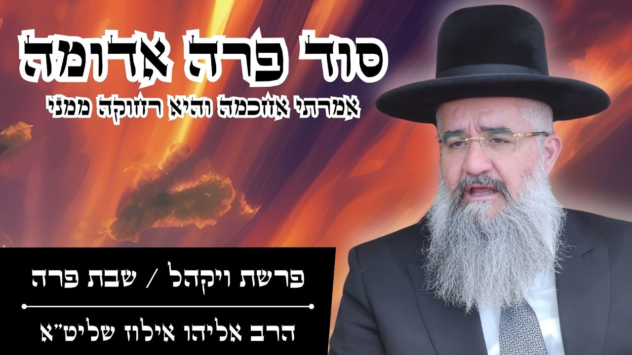 סוד פרה אדומה - אמרתי אחכמה והיא רחוקה ממני l פרשת ויקהל / שבת פרה מאת הרב אליהו אילוז שליט