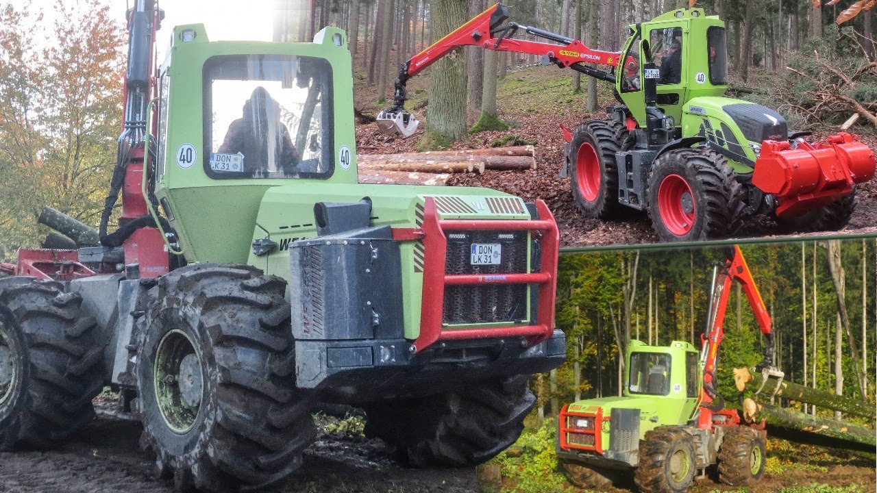 WERNER Forstmaschinen im Einsatz! 🌲 WF Trac Demo Tour 2020