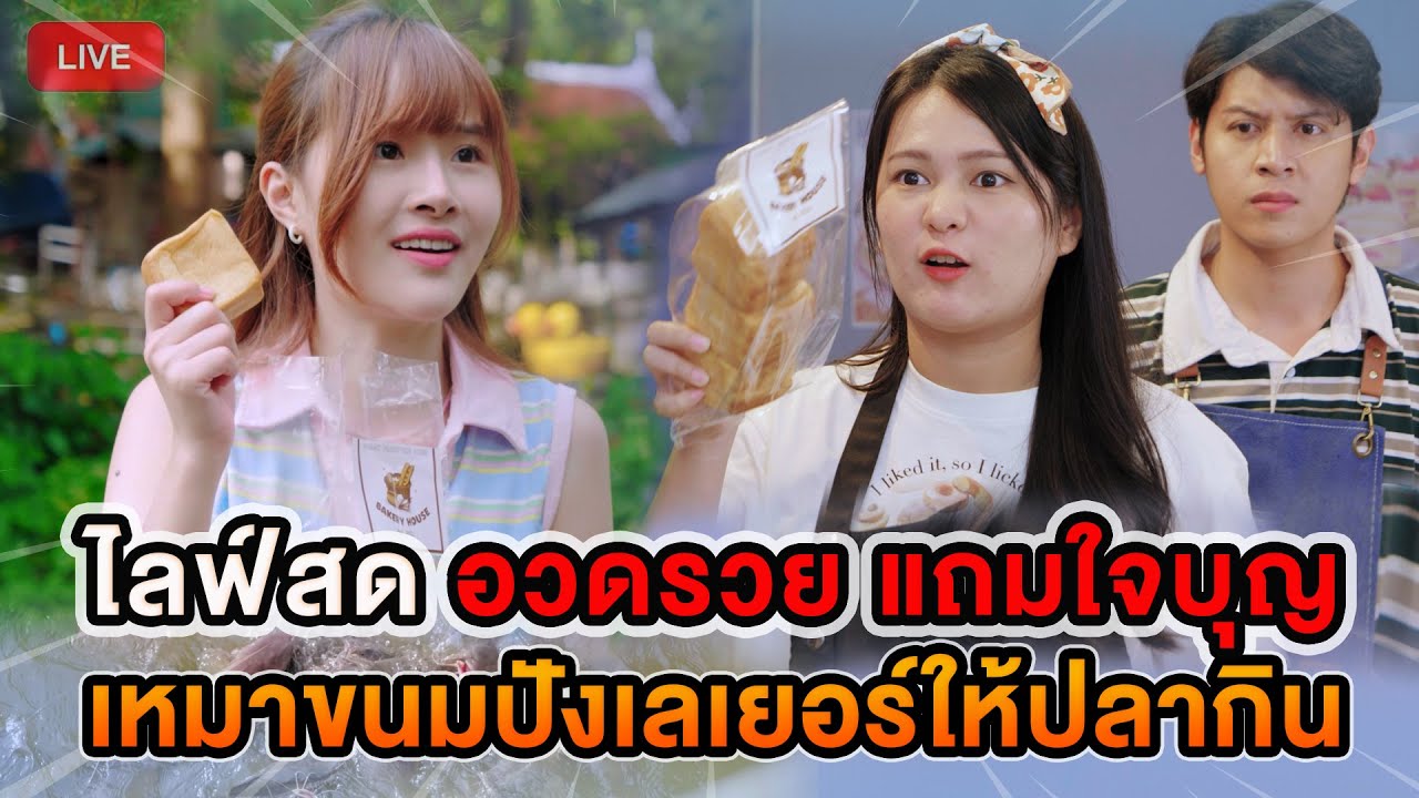 ไลฟ์สด อวดรวย แถมใจบุญ เหมาขนมปังเลเยอร์ให้ปลากิน หนังสั้น