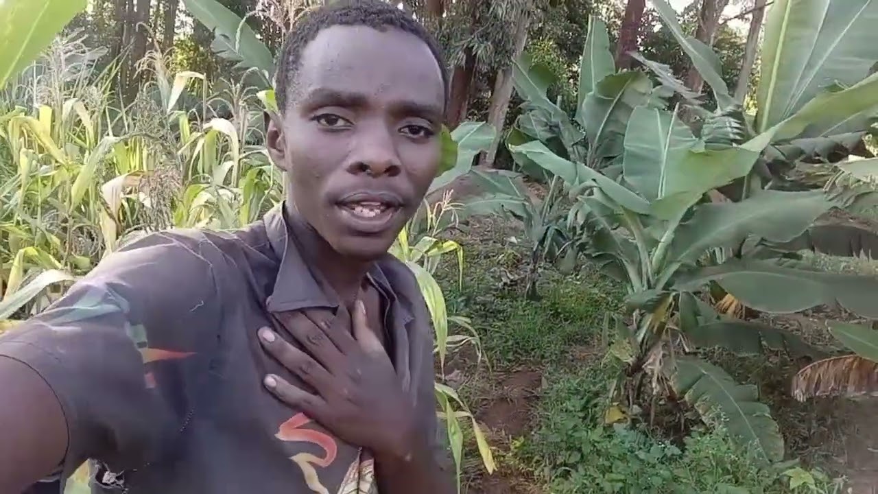New videos for family 