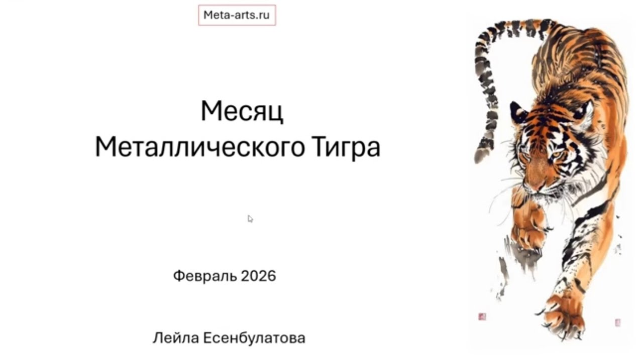 Астрологический прогноз на ФЕВРАЛЬ 2026. Месяц Тигра