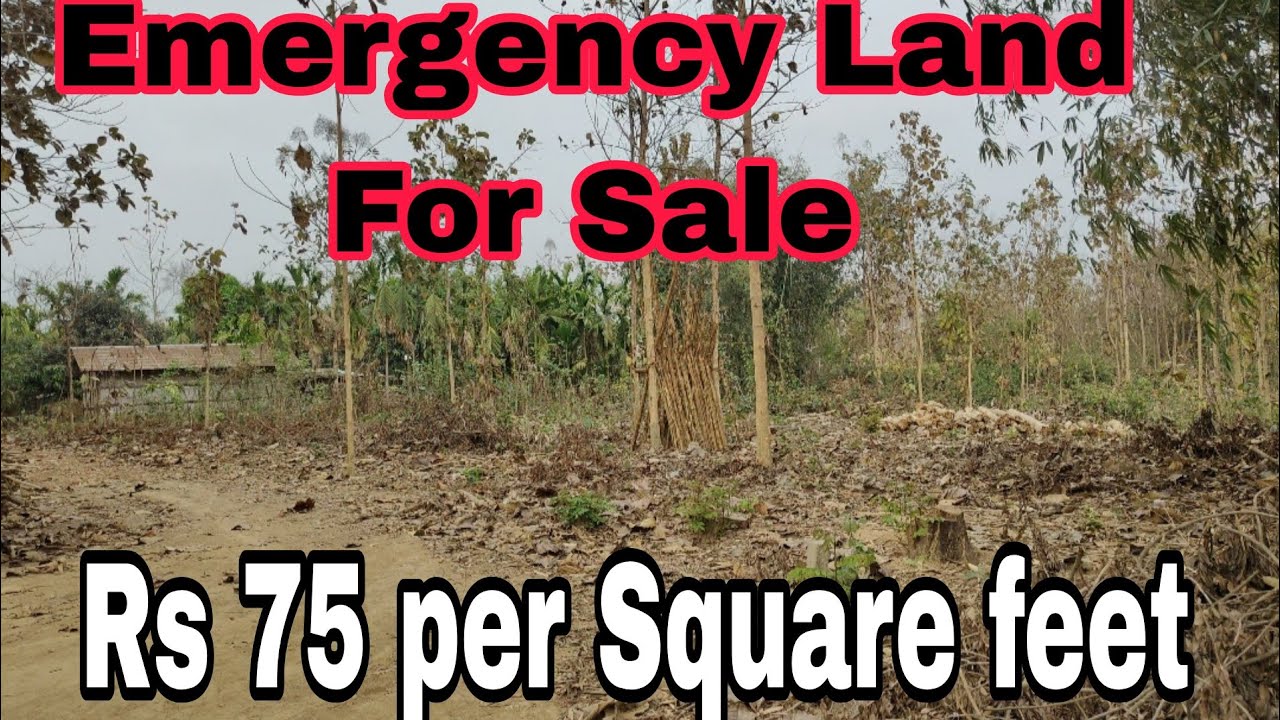 Emergency selling at cheapest price in arround Dimapur rs 75per Square feet 