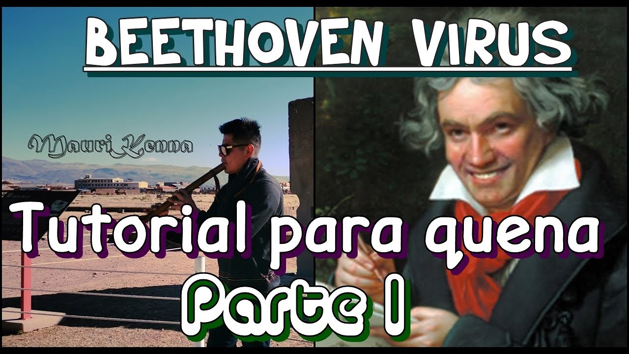 Beethoven Virus- TUTORIAL PARA QUENA I