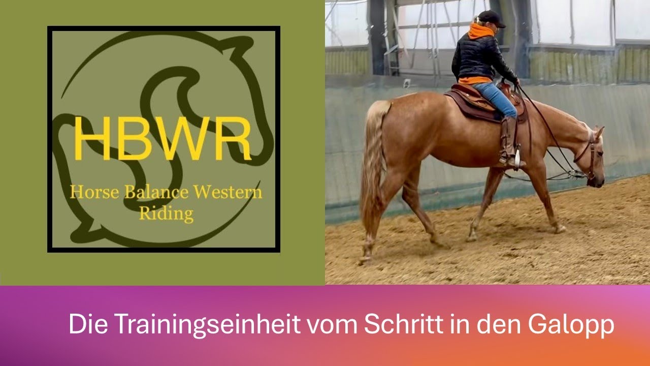 Vom Schritt in den Galopp in 15 Minuten
