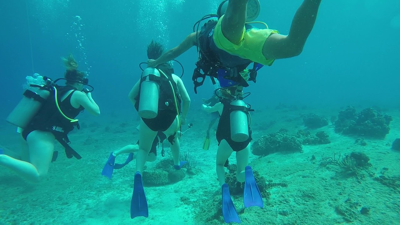Discover Scuba- Cozumel- 2/2019