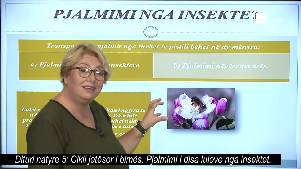 Cikli jetësor i bimës. Pjalmimi i disa luleve nga insektet | Dituri natyre 5
