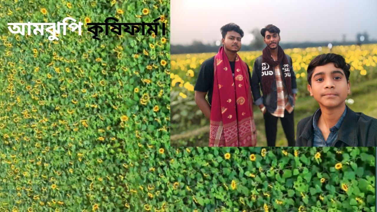 আমঝুপি কৃষিফার্ম মেহেরপুর। Amjhupi Agriculture Farm Meherpur। New Vlog Video। Flower।
